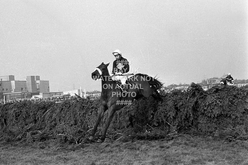 1974 red rum brian fletcher - rum,