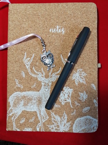 Sheet blank notebook - 70,