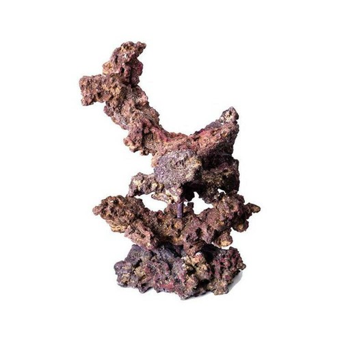 Caribsea life rock reef - caribsea, tree