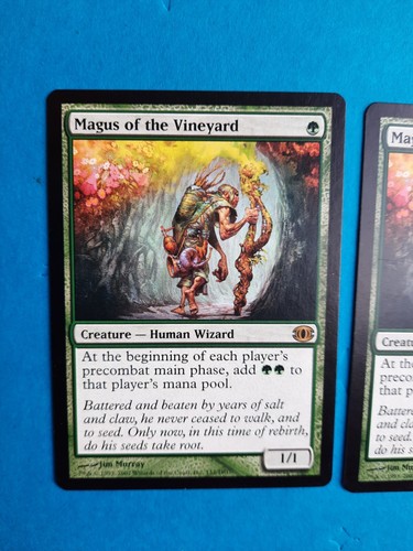 Mtg magus the vineyard - of,