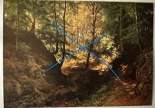 vintage Postcard, Robert Zund