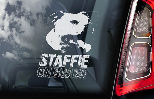 Staffie car sticker staffy - car,