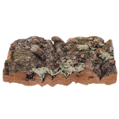 Reptile tank accessories - reptile,