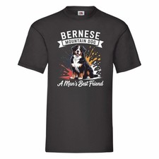 Bernese Mountain Dog A Man's
