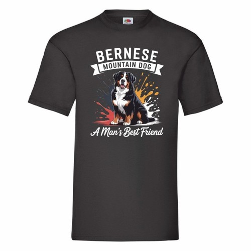 Bernese mountain dog man - mountain, man's