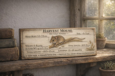 Mouse Art Harvest Mouse