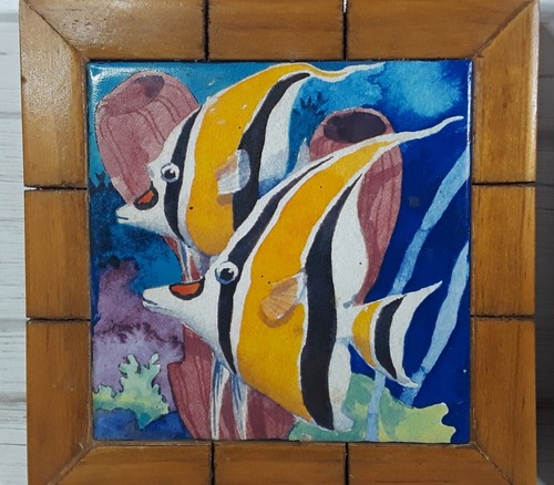Moorish idol fish colorful - idol,