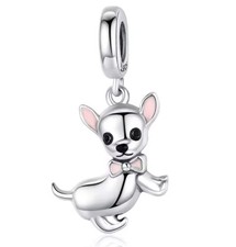 Chihuahua puppy dog s925