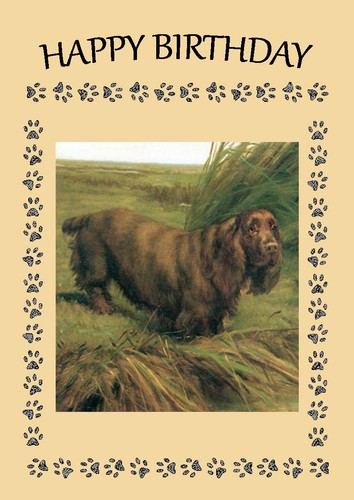 Sussex spaniel dog - spaniel, birthday