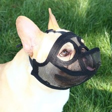 Short Snout Dog Muzzle -
