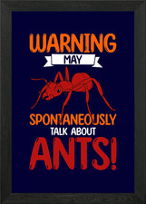 AntKeeping AntKeeper Ants