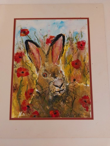 Original wildlife watercolour - original,