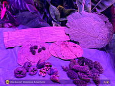 Nano Botanical Box Blackwater