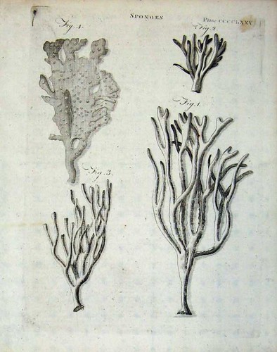 Original old antique - old, print