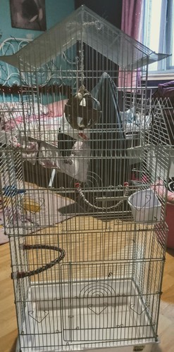 Large white bird cage - white,