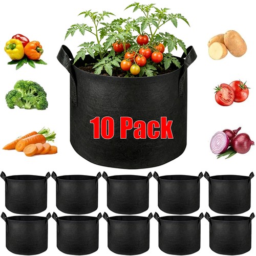 Pack gallon plant grow - 5,