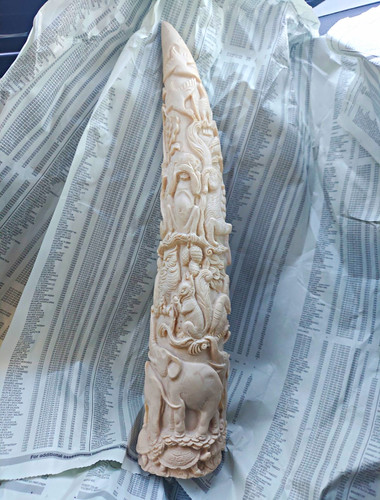 Vintage carved resin elephant - carved,