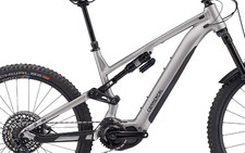 Frame Pivot Bearing Kit |