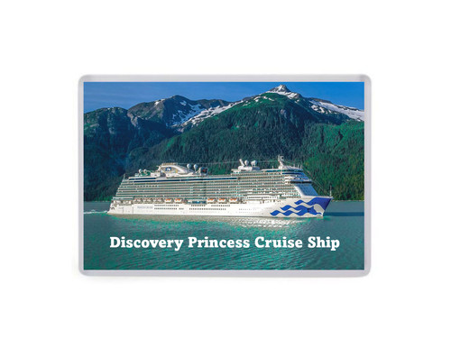 Fridge magnet discovery - fridge,