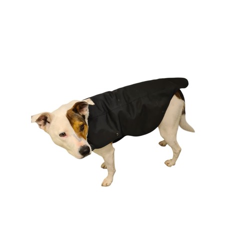 Kit dog body armour - body, cover