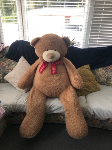 Giant hamleys teddy bear 4ft - giant,