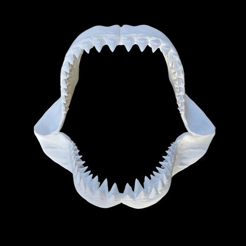 Shark jaw 30cm printed - 3d,