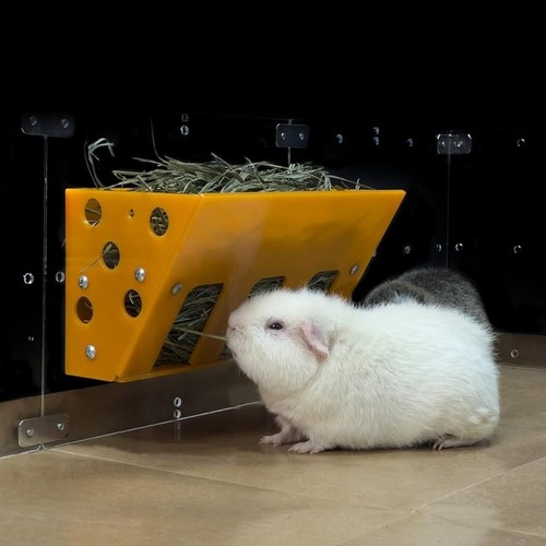 Guinealoft yellow hay - guinealoft™,