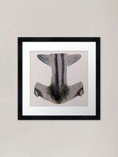 Hammerhead Shark Dunderhead