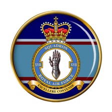 17 Squadron, RAF Pin Badge