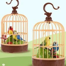 Singing & Chirping Bird in a
