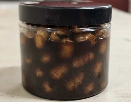 Jumbo cola tigernut hookers - tigernut,