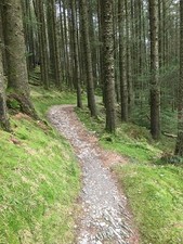 Photo A1 Mountain bike track