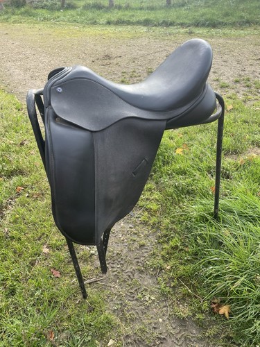 Ideal jessica dressage - jessica,
