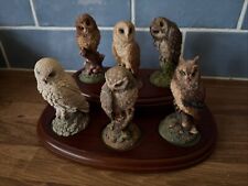 Royal Doulton 6 Owls Figurines On Wooden Stand Plinth Collectable (B19)