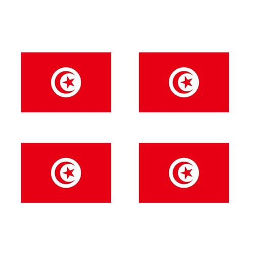 Tunisia flag iron on - 4,