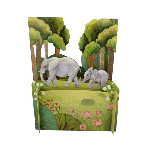 Baby elephant calf mother - calf,