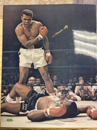 Muhammad ali signed cassius - muhammad,