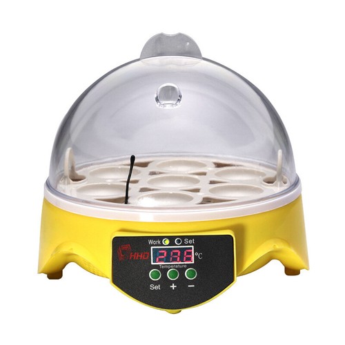 Automatic digital egg - automatic, 7
