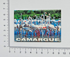 Camargue wetlands France