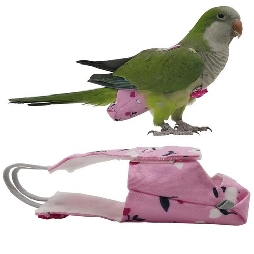 Colorful parrot diaper - colorful,