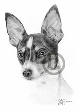 TOY FOX TERRIER dog art pencil drawing print A3/A4 signed artwork
