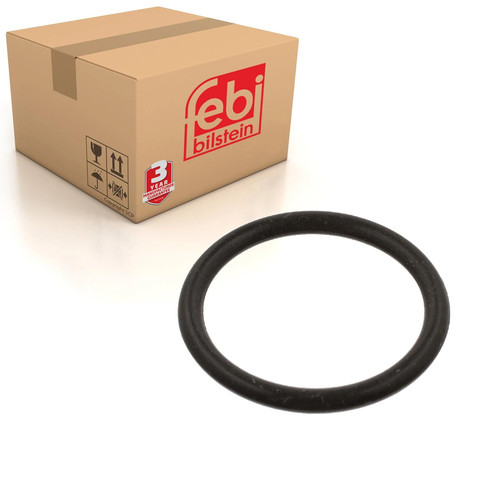 Fuel filter ring - filter, o-ring