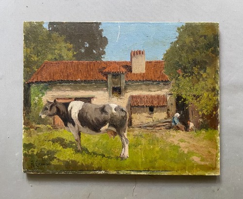 Cow front a farm - front,