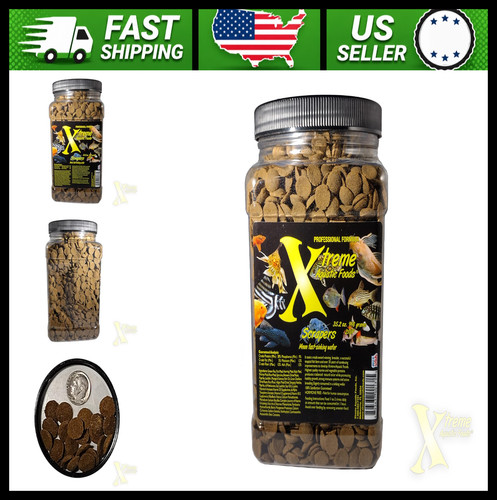 Xtreme scrapers 14mm spirulina - scrapers,