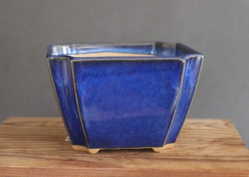 Bonsai pot square - square, blue