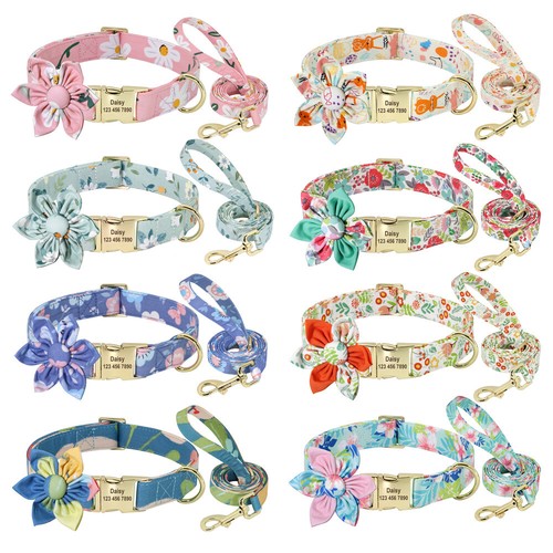 Fancy personalised dog - fancy,