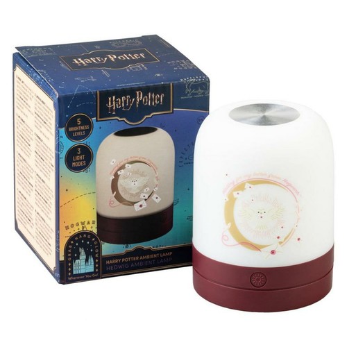 Harry potter hedwig - harry,