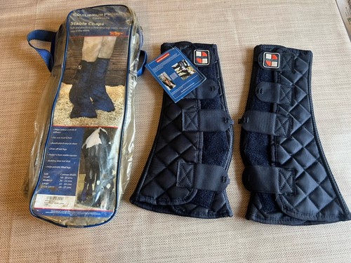 Equilibrium equi chaps - equilibrium, stable