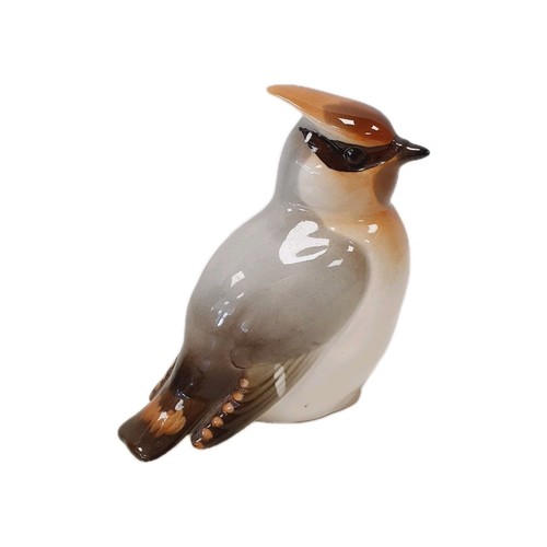 Vintage cardinal bird - vintage,