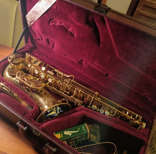 Alto saxophone julius - alto,